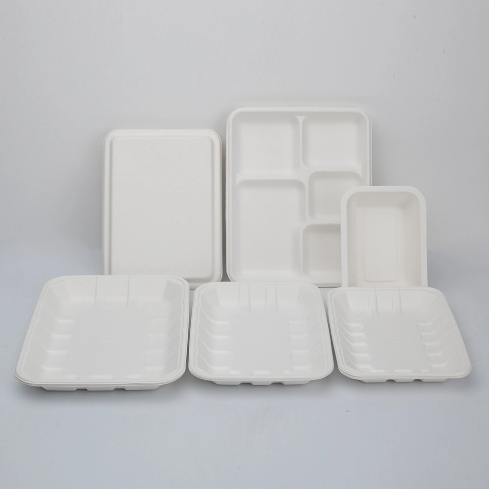 Biodegradable Food Tray Sugarcane Bagasse Paper Pulp Tableware Biodegradable Trays