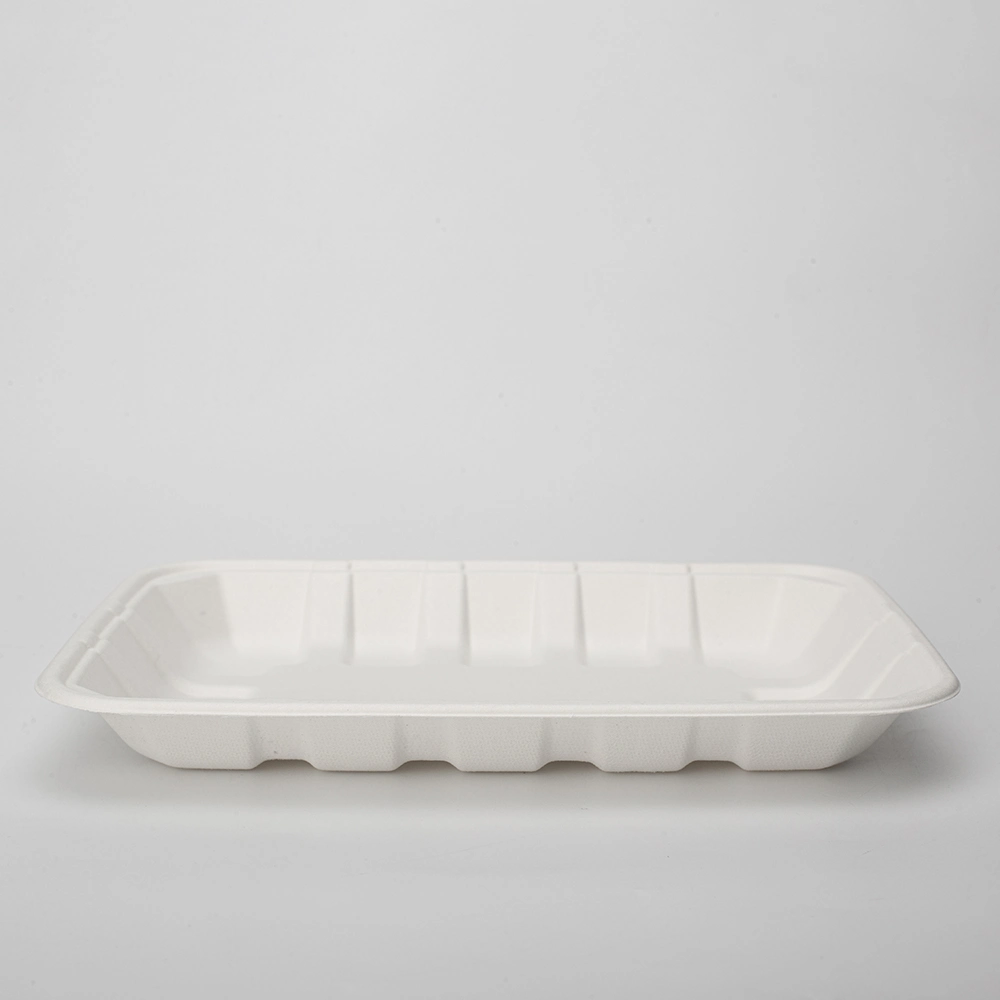 Biodegradable Food Tray Sugarcane Bagasse Paper Pulp Tableware Biodegradable Trays